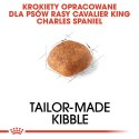 ROYAL CANIN BHN Cavalier King Charles Spaniel Adult - sucha karma dla psa dorosłego - 1,5kg Royal Canin