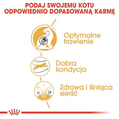 ROYAL CANIN Bengal Adult - sucha karma dla dorosłego kota - 2 kg Royal Canin ROYAL CANIN Bengal Adult - sucha karma dla dorosłego kota - 2 kg Royal Canin