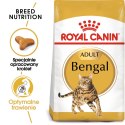 ROYAL CANIN Bengal Adult - sucha karma dla dorosłego kota - 2 kg Royal Canin