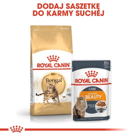 ROYAL CANIN Bengal Adult - sucha karma dla dorosłego kota - 2 kg Royal Canin ROYAL CANIN Bengal Adult - sucha karma dla dorosłego kota - 2 kg Royal Canin
