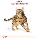 ROYAL CANIN Bengal Adult - sucha karma dla dorosłego kota - 2 kg Royal Canin