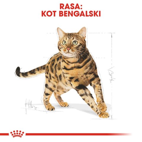 ROYAL CANIN Bengal Adult - sucha karma dla dorosłego kota - 2 kg Royal Canin ROYAL CANIN Bengal Adult - sucha karma dla dorosłego kota - 2 kg Royal Canin