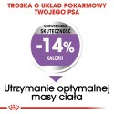 ROYAL CANIN CCN MINI STERILISED - sucha karma dla psa dorosłego - 3kg Royal Canin