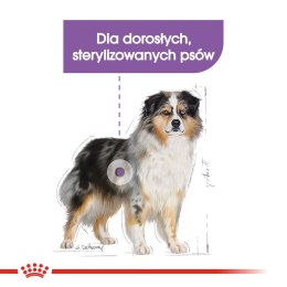 ROYAL CANIN CCN Medium Sterilised - sucha karma dla psa dorosłego - 3kg Royal Canin