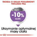 ROYAL CANIN CCN Medium Sterilised - sucha karma dla psa dorosłego - 3kg Royal Canin