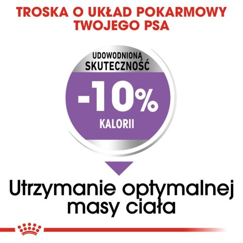 ROYAL CANIN CCN Medium Sterilised - sucha karma dla psa dorosłego - 3kg Royal Canin