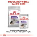 ROYAL CANIN CCN Medium Sterilised - sucha karma dla psa dorosłego - 3kg Royal Canin