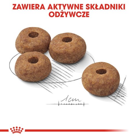 ROYAL CANIN CCN Medium Sterilised - sucha karma dla psa dorosłego - 3kg Royal Canin