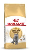 ROYAL CANIN FBN British Shorthair Adult - sucha karma dla dorosłego kota - 4kg Royal Canin