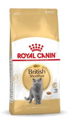 ROYAL CANIN FBN British Shorthair Adult - sucha karma dla dorosłego kota - 4kg Royal Canin