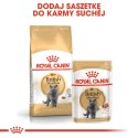 ROYAL CANIN FBN British Shorthair Adult - sucha karma dla dorosłego kota - 4kg Royal Canin