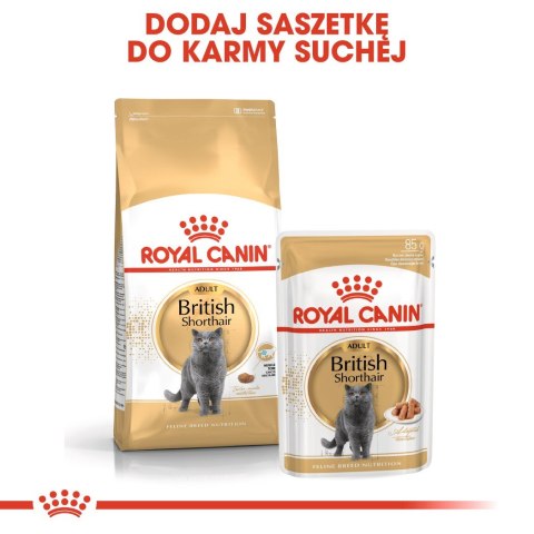 ROYAL CANIN FBN British Shorthair Adult - sucha karma dla dorosłego kota - 4kg Royal Canin