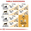 ROYAL CANIN FBN British Shorthair Adult - sucha karma dla dorosłego kota - 4kg Royal Canin