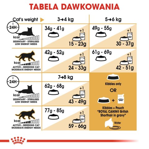 ROYAL CANIN FBN British Shorthair Adult - sucha karma dla dorosłego kota - 4kg Royal Canin