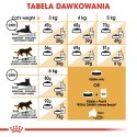 ROYAL CANIN FBN Sphynx Adult - sucha karma dla dorosłego kota - 2kg Royal Canin