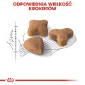 ROYAL CANIN Sensible 33 2kg Royal Canin