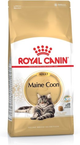 Royal Canin FBN Maine Coon Adult - sucha karma dla kota dorosłego - 4kg Royal Canin