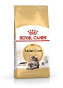 Royal Canin FBN Maine Coon Adult - sucha karma dla kota dorosłego - 4kg Royal Canin