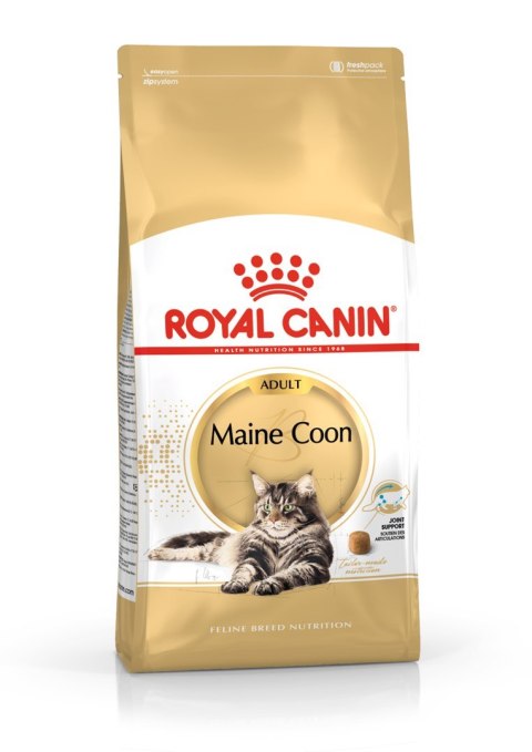 Royal Canin FBN Maine Coon Adult - sucha karma dla kota dorosłego - 4kg Royal Canin Royal Canin FBN Maine Coon Adult - sucha karma dla kota dorosłego - 4kg Royal Canin