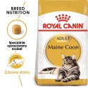 Royal Canin FBN Maine Coon Adult - sucha karma dla kota dorosłego - 4kg Royal Canin