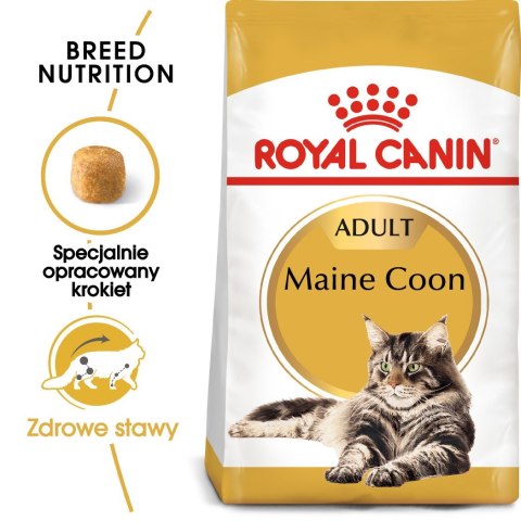 Royal Canin FBN Maine Coon Adult - sucha karma dla kota dorosłego - 4kg Royal Canin Royal Canin FBN Maine Coon Adult - sucha karma dla kota dorosłego - 4kg Royal Canin