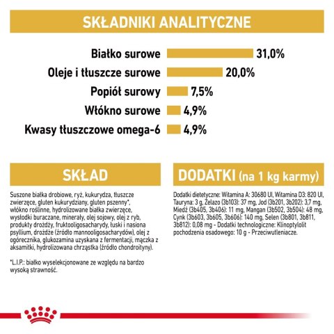 Royal Canin FBN Maine Coon Adult - sucha karma dla kota dorosłego - 4kg Royal Canin Royal Canin FBN Maine Coon Adult - sucha karma dla kota dorosłego - 4kg Royal Canin