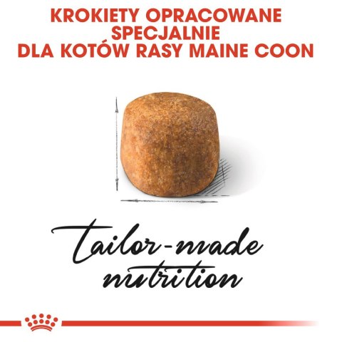 Royal Canin FBN Maine Coon Adult - sucha karma dla kota dorosłego - 4kg Royal Canin Royal Canin FBN Maine Coon Adult - sucha karma dla kota dorosłego - 4kg Royal Canin