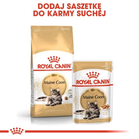 Royal Canin FBN Maine Coon Adult - sucha karma dla kota dorosłego - 4kg Royal Canin Royal Canin FBN Maine Coon Adult - sucha karma dla kota dorosłego - 4kg Royal Canin