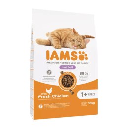 IAMS Adult Hairball Control - sucha karma dla kota - 10 kg IAMS