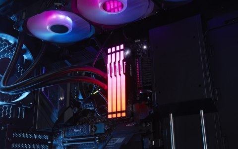 Kingston FURY DDR5 64GB (2x32GB) 6000MHz CL36 Beast Black RGB EXPO Kingston Kingston FURY DDR5 64GB (2x32GB) 6000MHz CL36 Beast Black RGB EXPO Kingston