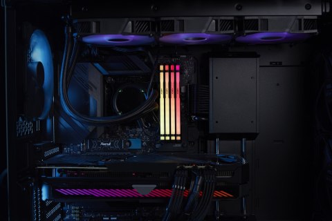 Kingston FURY DDR5 64GB (2x32GB) 6000MHz CL36 Beast Black RGB EXPO Kingston Kingston FURY DDR5 64GB (2x32GB) 6000MHz CL36 Beast Black RGB EXPO Kingston