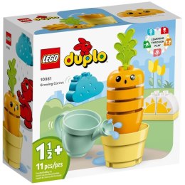 LEGO DUPLO My First 10981 Rosnąca marchewka Lego