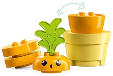 LEGO DUPLO My First 10981 Rosnąca marchewka Lego LEGO DUPLO My First 10981 Rosnąca marchewka Lego