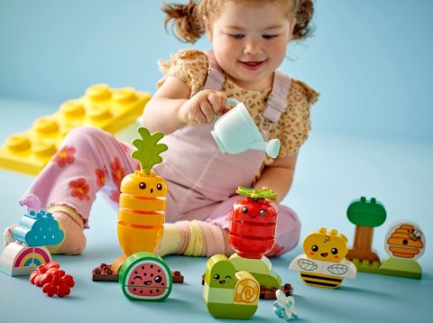 LEGO DUPLO My First 10984 Ogród uprawowy Lego LEGO DUPLO My First 10984 Ogród uprawowy Lego