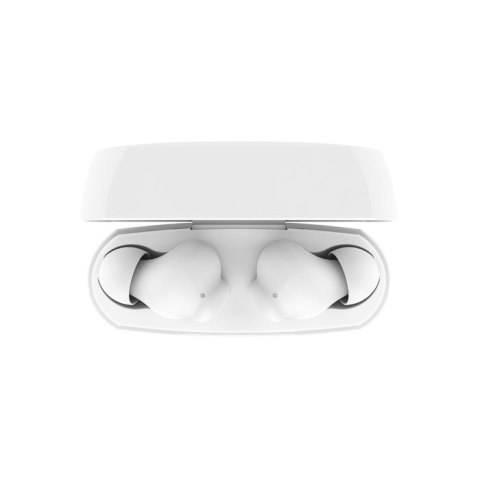 BELKIN BEZPRZEWODOWE SOUNDFORM RHYTHM BT DOUSZNE BIAŁE Belkin BELKIN BEZPRZEWODOWE SOUNDFORM RHYTHM BT DOUSZNE BIAŁE Belkin