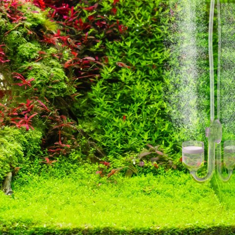 Aquario Professional 2.0 - zestaw CO2 z elektrozaworem + butla 2l Aquario Professional 2.0 - zestaw CO2 z elektrozaworem + butla 2l
