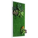 Garden Point - Bello Horizonte 50x100 - ogród ścienny 3D