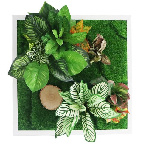 Garden Point - Bello Horizonte 50x50 - ogród ścienny 3D Garden Point - Bello Horizonte 50x50 - ogród ścienny 3D