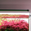 Chihiros B-Series B120 LED Light with Commander - lampa led sterowana aplikacją 120-140cm