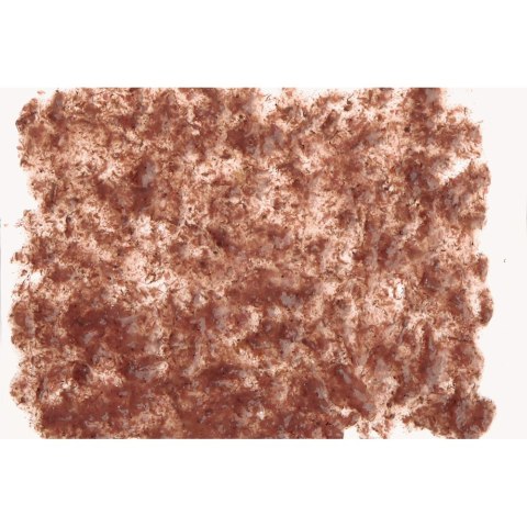 Tetra FreshDelica Brine Shrimps 48g - pokarm w żelu Tetra FreshDelica Brine Shrimps 48g - pokarm w żelu