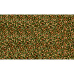 Tetra Micro Pellets 100ml - pokarm drobny wybarwiający