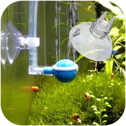 Aqua Sucker 6mm - przyssawka do wężyków 6mm Aqua Sucker 6mm - przyssawka do wężyków 6mm