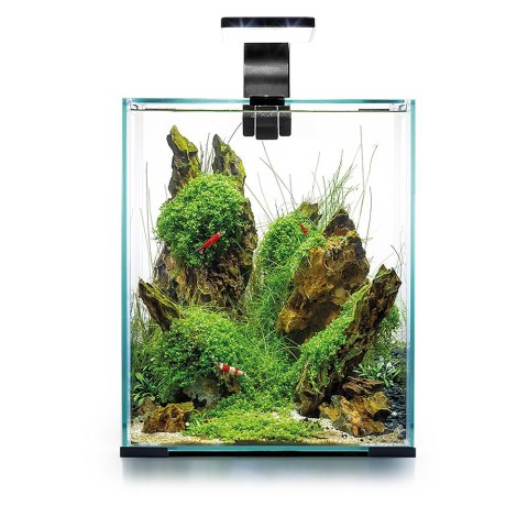 Aquael Shrimp Set Day&Night 10L Black - zestaw akwarystyczny Aquael Shrimp Set Day&Night 10L Black - zestaw akwarystyczny