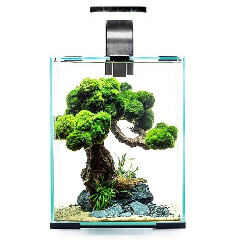 Aquael Shrimp Set Day&Night 30L Back - zestaw akwarystyczny Aquael Shrimp Set Day&Night 30L Back - zestaw akwarystyczny