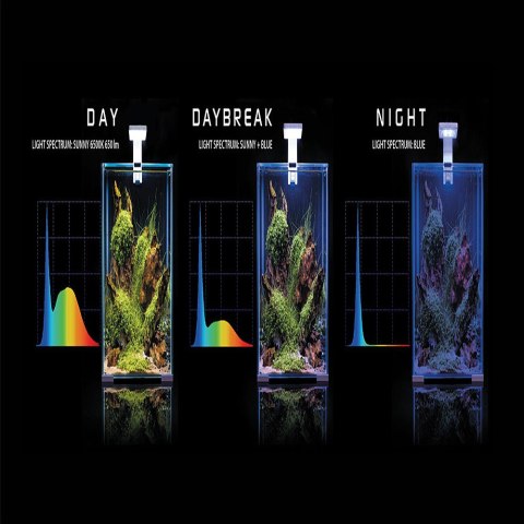 Aquael Shrimp Set Day&Night 30L Back - zestaw akwarystyczny Aquael Shrimp Set Day&Night 30L Back - zestaw akwarystyczny