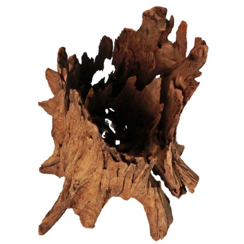 Philippines Classic Driftwood - drzewo mangrowca z wody L 30cm - 40cm Philippines Classic Driftwood - drzewo mangrowca z wody L 30cm - 40cm