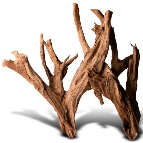 Philippines Classic Driftwood - drzewo mangrowca z wody L 30cm - 40cm Philippines Classic Driftwood - drzewo mangrowca z wody L 30cm - 40cm