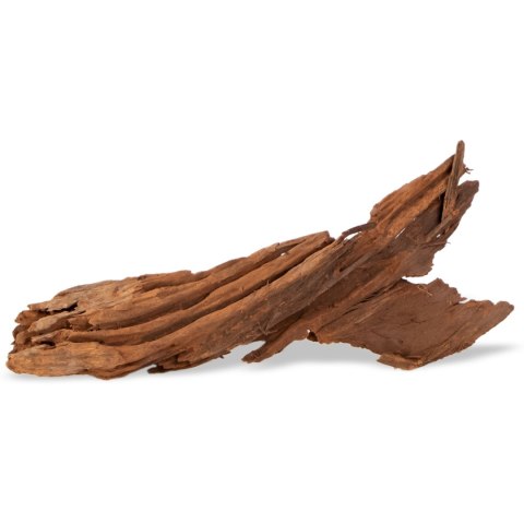 Philippines Classic Driftwood - drzewo mangrowca z wody L 30cm - 40cm Philippines Classic Driftwood - drzewo mangrowca z wody L 30cm - 40cm