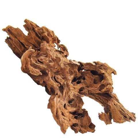 Philippines Classic Driftwood - drzewo mangrowca z wody L 30cm - 40cm Philippines Classic Driftwood - drzewo mangrowca z wody L 30cm - 40cm
