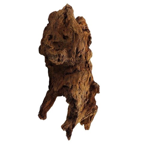 Philippines Classic Driftwood - drzewo mangrowca z wody L 30cm - 40cm Philippines Classic Driftwood - drzewo mangrowca z wody L 30cm - 40cm